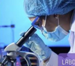 الدكتورة هالة مديمغ كشريد