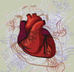 الدكتورة رنا الدحماني الهلالي