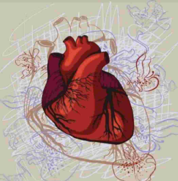 الدكتورة رنا الدحماني الهلالي