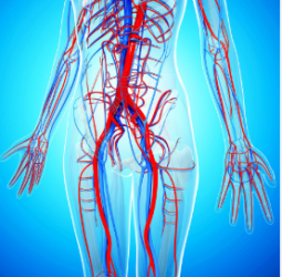 الدكتورة هالة سويلم المدب