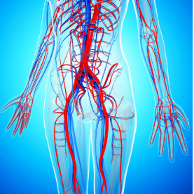 الدكتورة هالة سويلم المدب