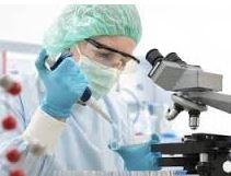 الدكتورة هيفاء نفوسي حمزة