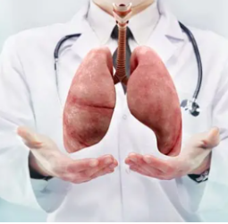 الدكتورة نوال بن سالم